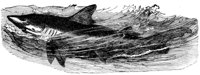 690757.jpg