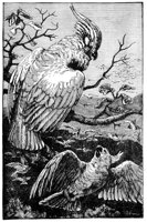 690627.jpg