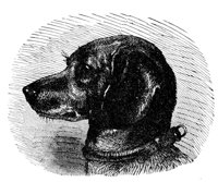 690541.jpg