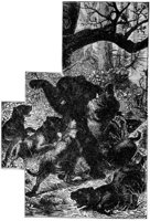 690513.jpg
