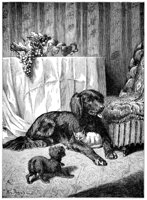 690509.jpg