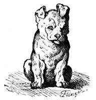 690479.jpg