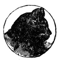 690439.jpg