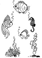 FISH25.PCX