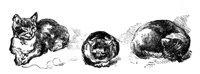 690411.jpg
