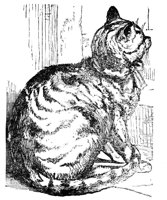 690403.jpg