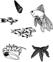 FISH24.PCX