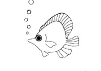 FISH02.PCX