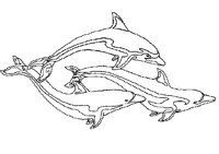 DOLPHIN3.PCX