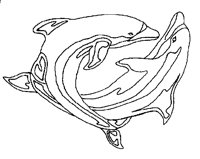DOLPHIN2.PCX