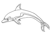 DOLPHIN1.PCX