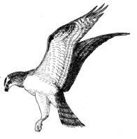 635435.jpg