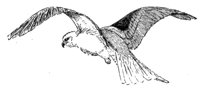 635419.jpg