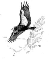 635415.jpg