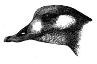 635403.jpg