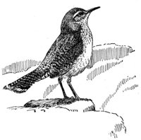 635305.jpg