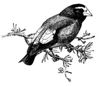 635191.jpg