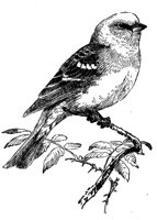 635189.jpg