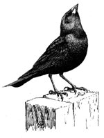 635173.jpg