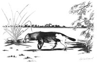 549646.jpg