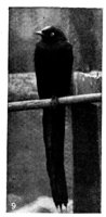 542404.jpg