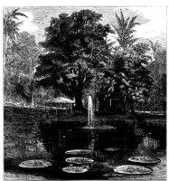 538402.jpg