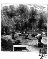 538194.jpg