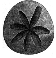 507824.jpg