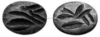 507818.jpg