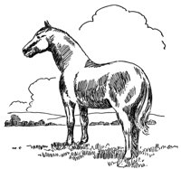 398770.jpg