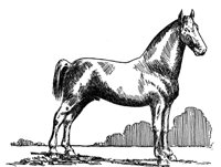 398766.jpg