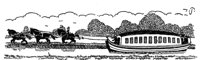 398646.jpg