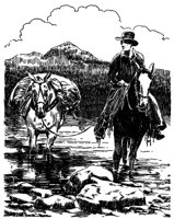 398638.jpg