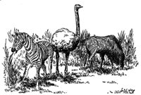 398564.jpg