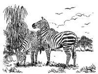 398562.jpg