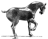 398542.jpg