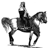 398540.jpg