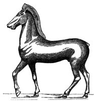 398502.jpg
