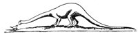 398478.jpg