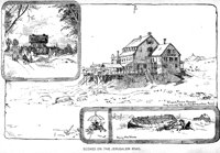 389471.jpg