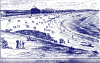 389455.jpg