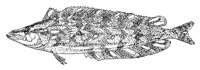 379273.jpg
