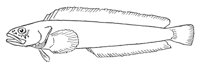 379261.jpg