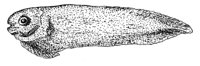 379205.jpg