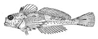 379187.jpg