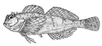 379185.jpg