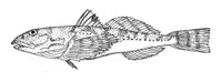 379175.jpg