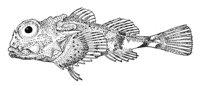 379169.jpg