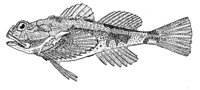 379167.jpg