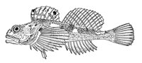 379161.jpg